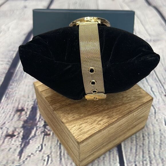 Louis Richard Women's Roslin II Watch - Picture 4 of 6